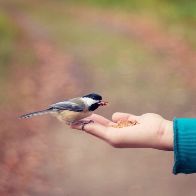 Are You Feeding Your Spirit?